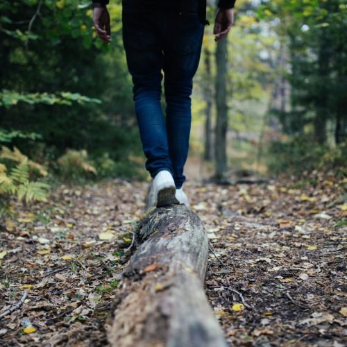 O que é Terapia do Esquema e como ela funciona?